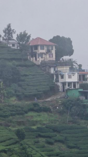 THE Unplugged Escape villa ,Munnar